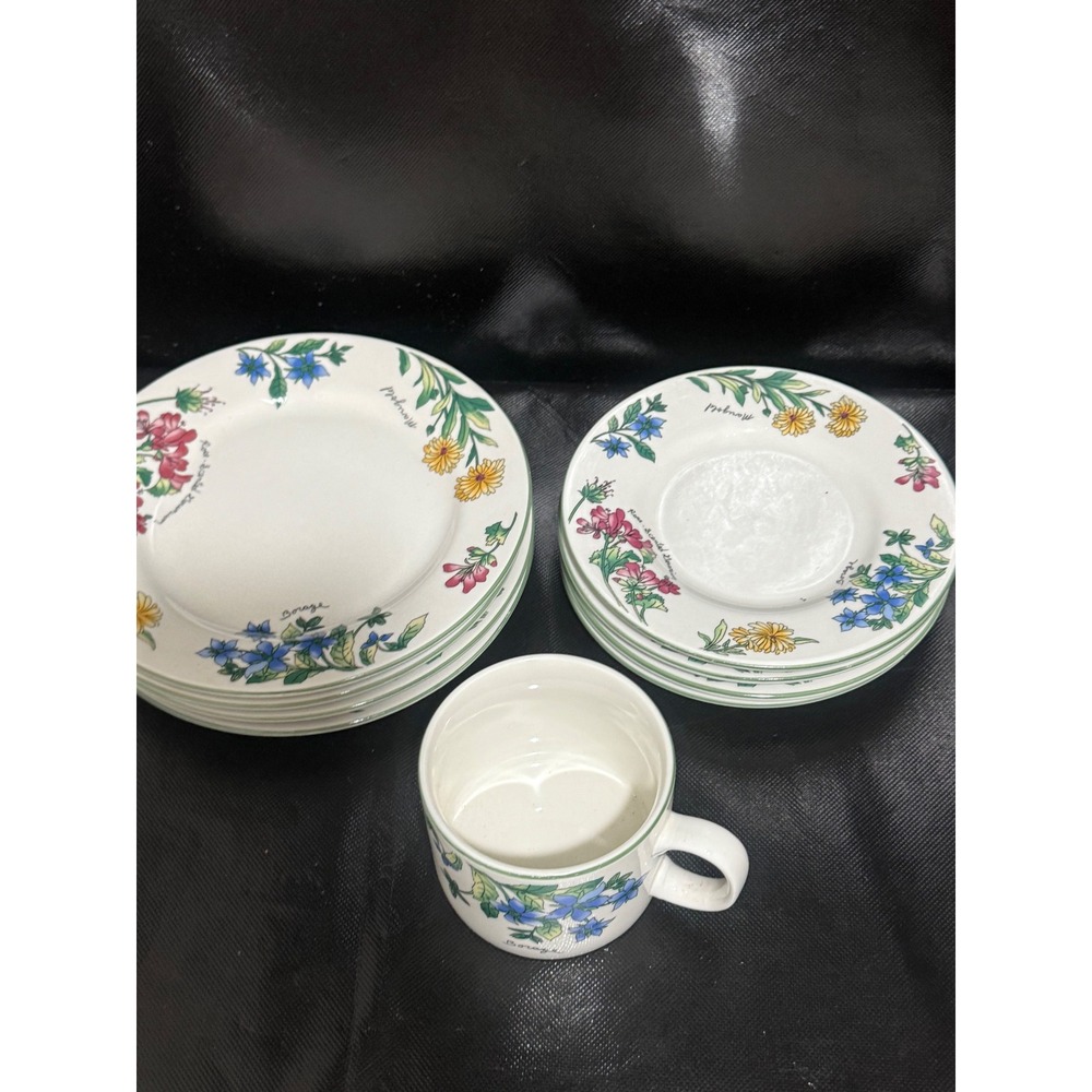 Majesticware by Oneida Geranium Stoneware Floral Plates and Mug Set Botanical